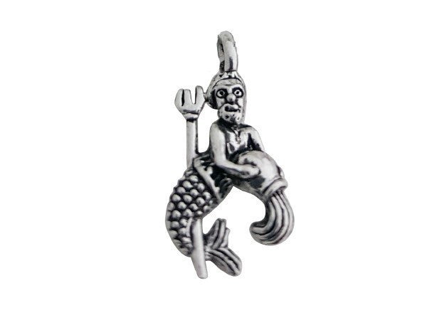 Aquarius Charm - Aquarius Zodiac Sign - Charms & Bangles - 3